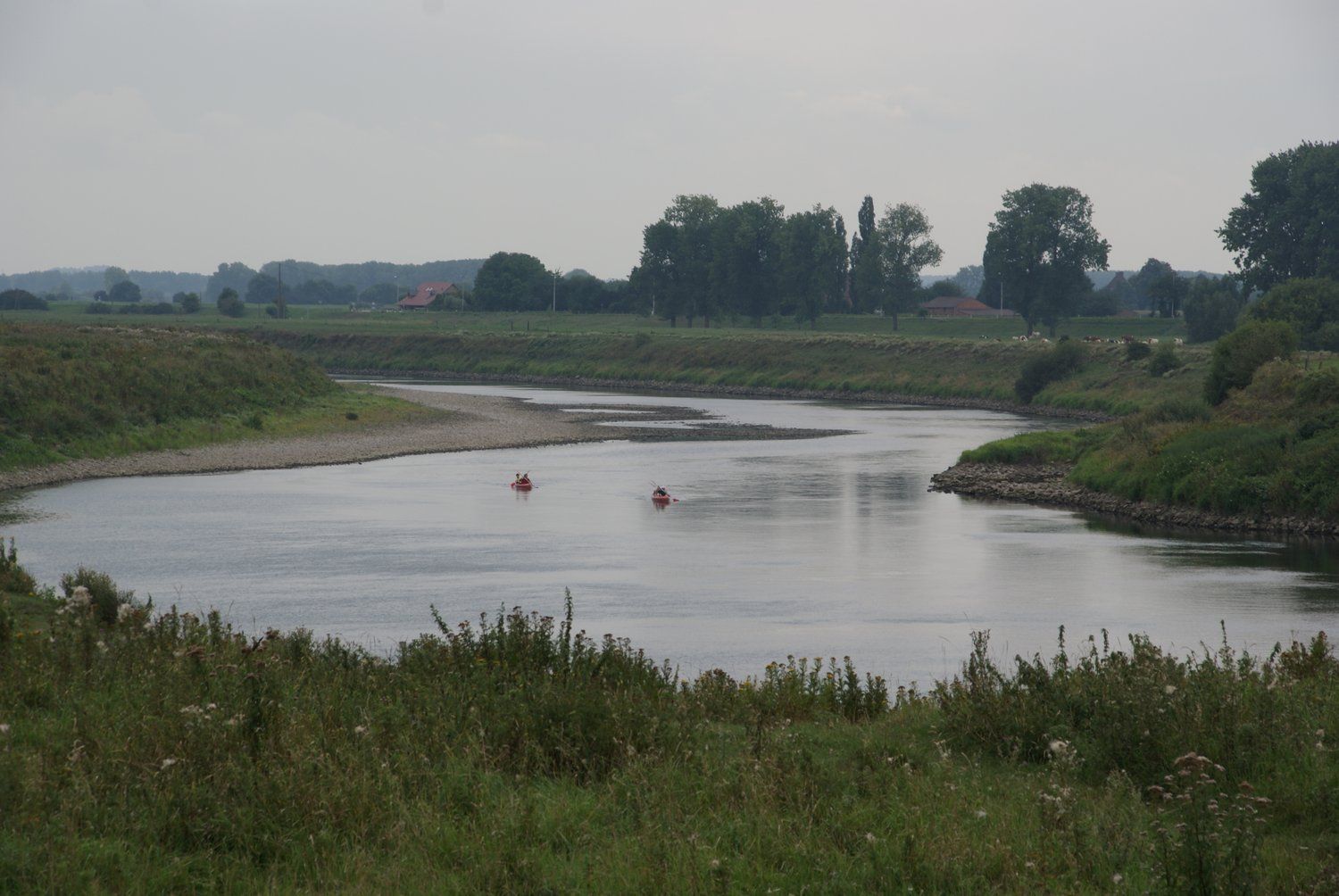 Natuur rond om Ohé en Laak 