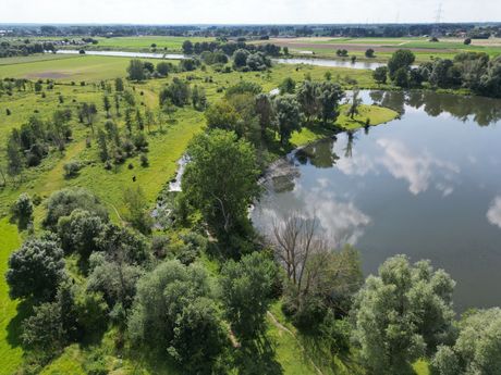 Natuur rond om Ohé en Laak 