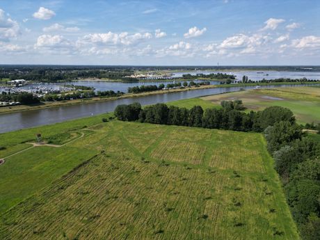 Natuur rond om Ohé en Laak 