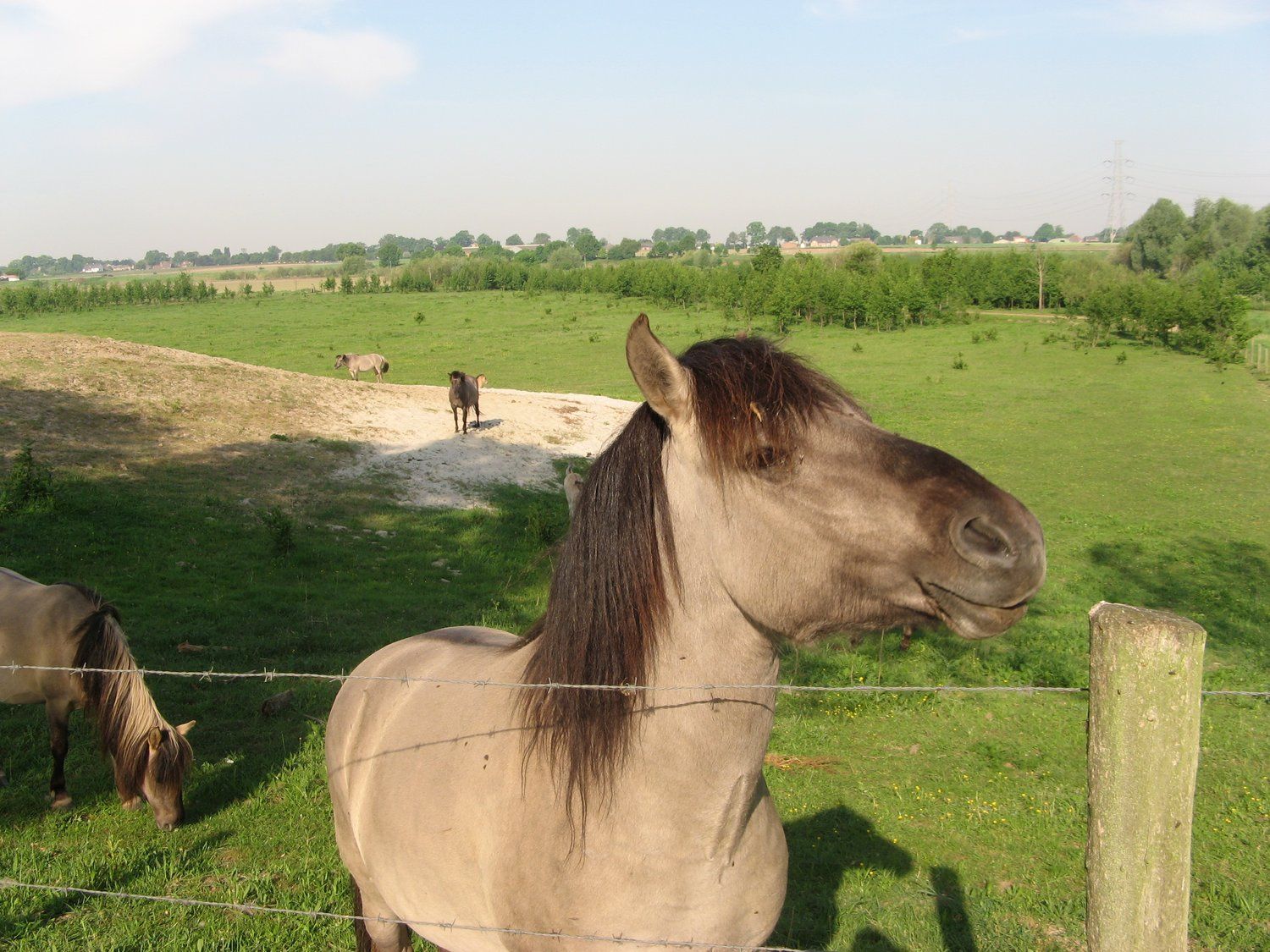 Natuur rond om Ohé en Laak