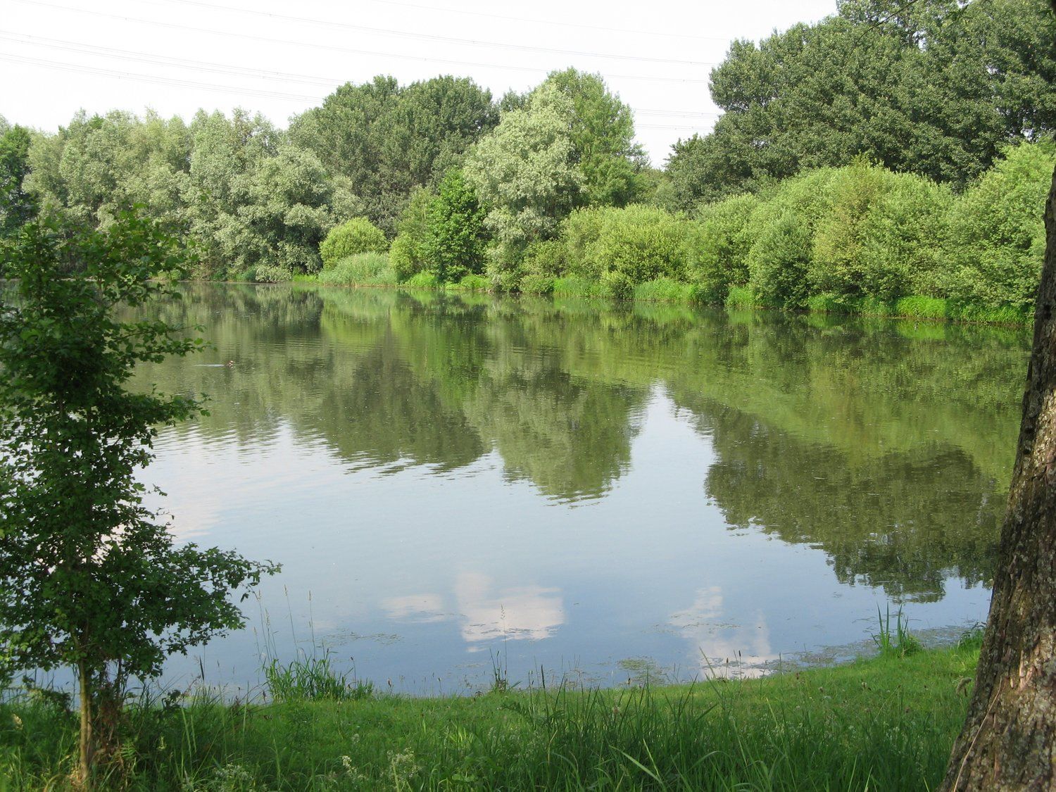 Natuur rond om Ohé en Laak 