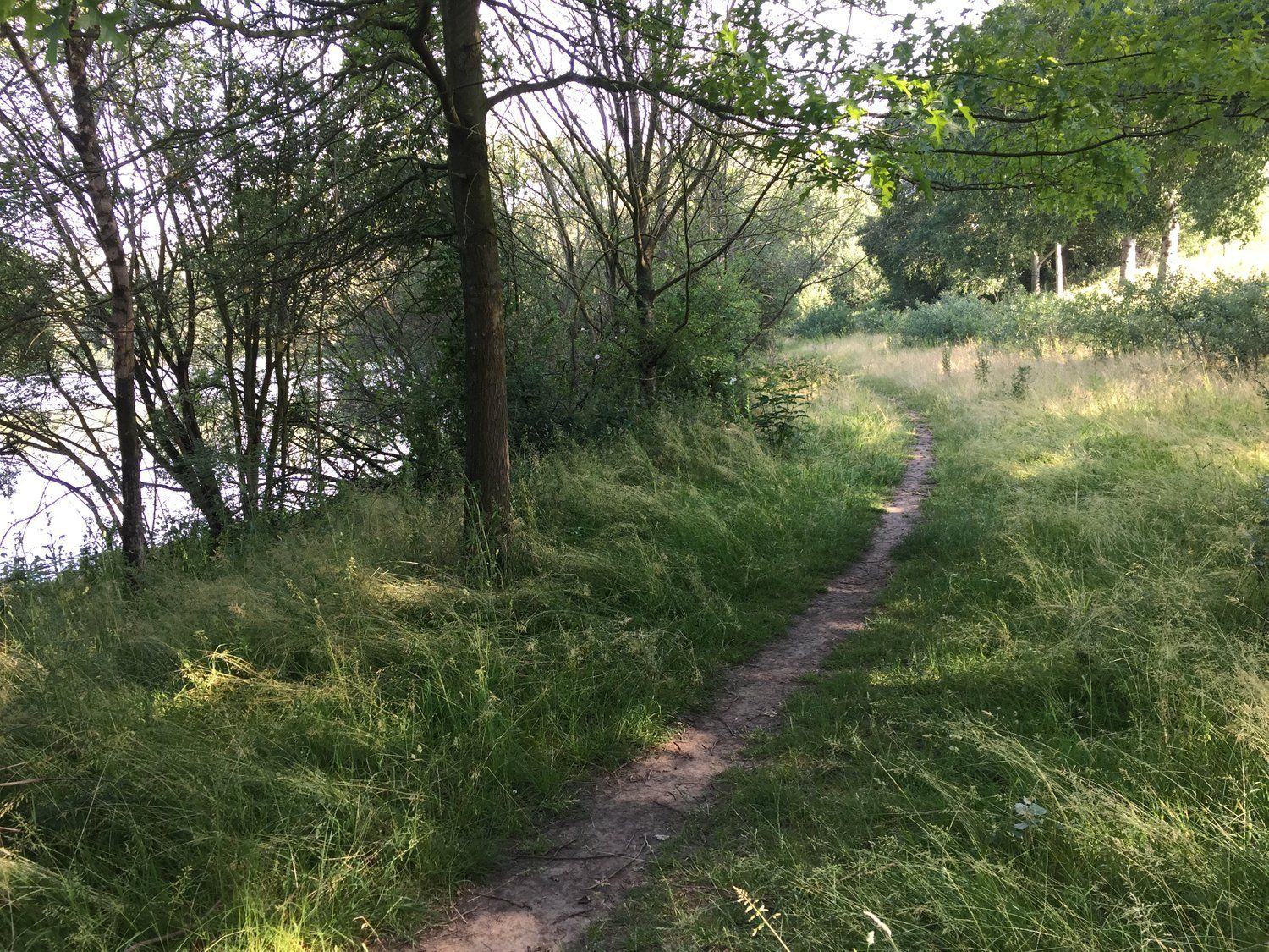 Natuur rond om Ohé en Laak
