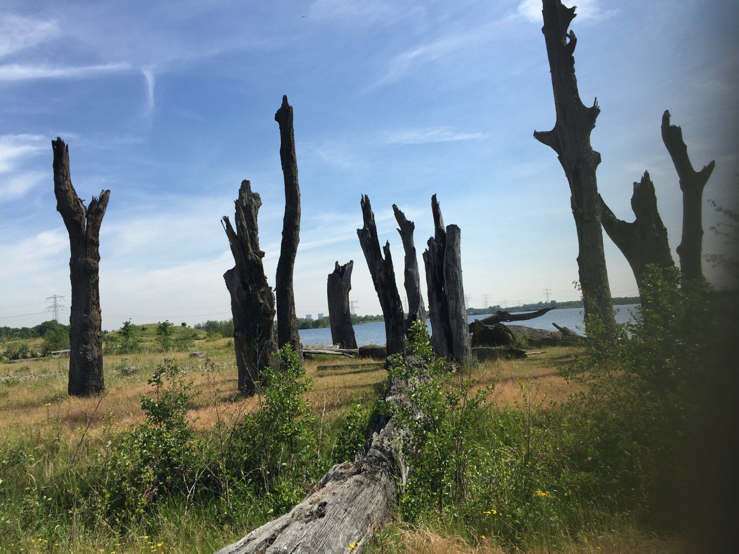Natuur rond om Ohé en Laak