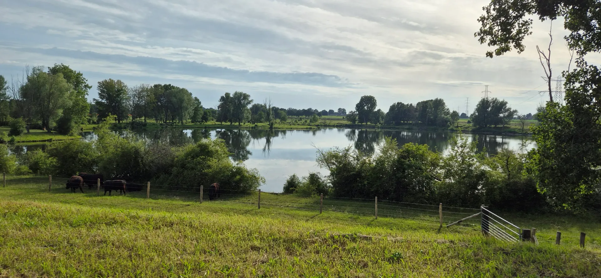 Limburgs landschap