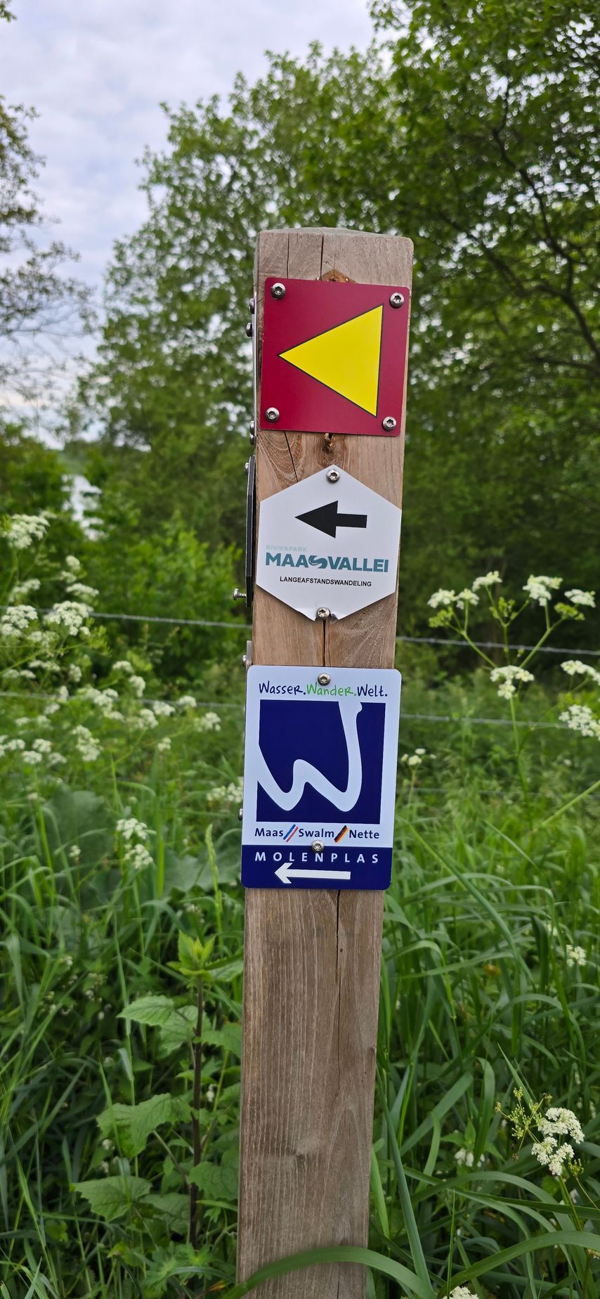 Wandelroutes bij Camping De Maashoeve in de Maasvallei Limburg