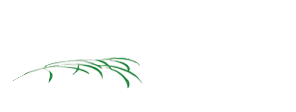 logo-image