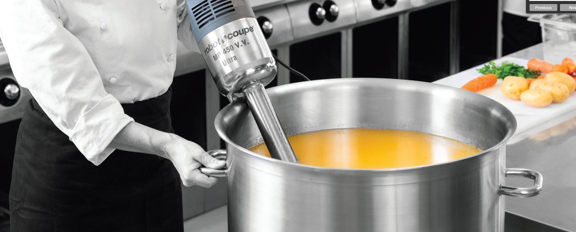 Robot Coupe Stick Blender