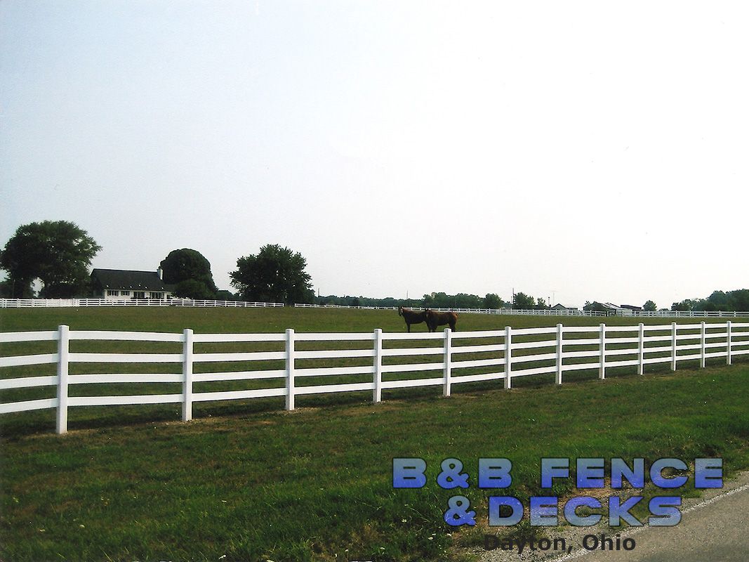 Two Horses and White Fence — Dayton, OH — B & B Fence & Decks LLC