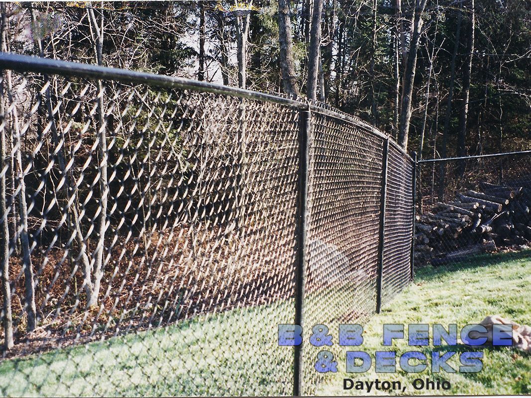 Chain Link Fence and Trees — Dayton, OH — B & B Fence & Decks LLC