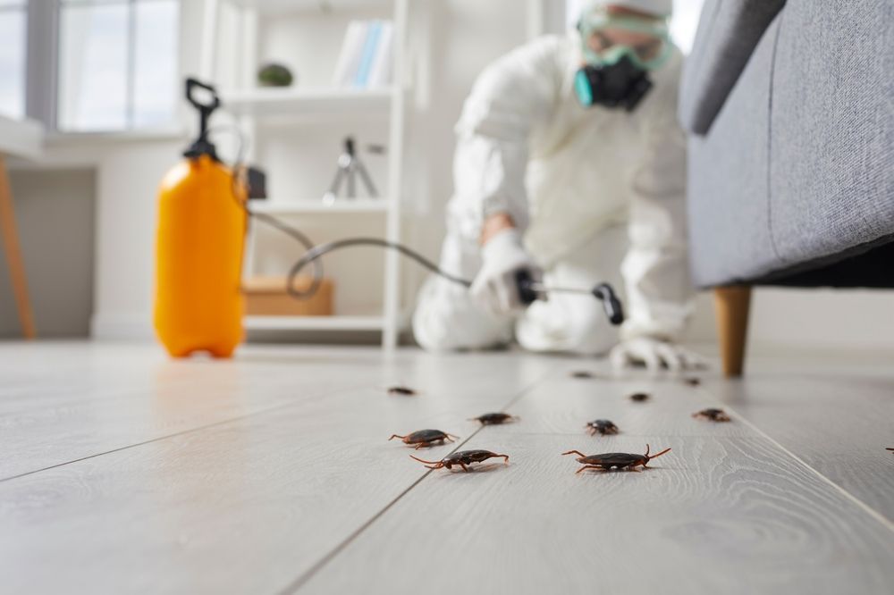 A man in a protective suit is spraying cockroaches in a living room.