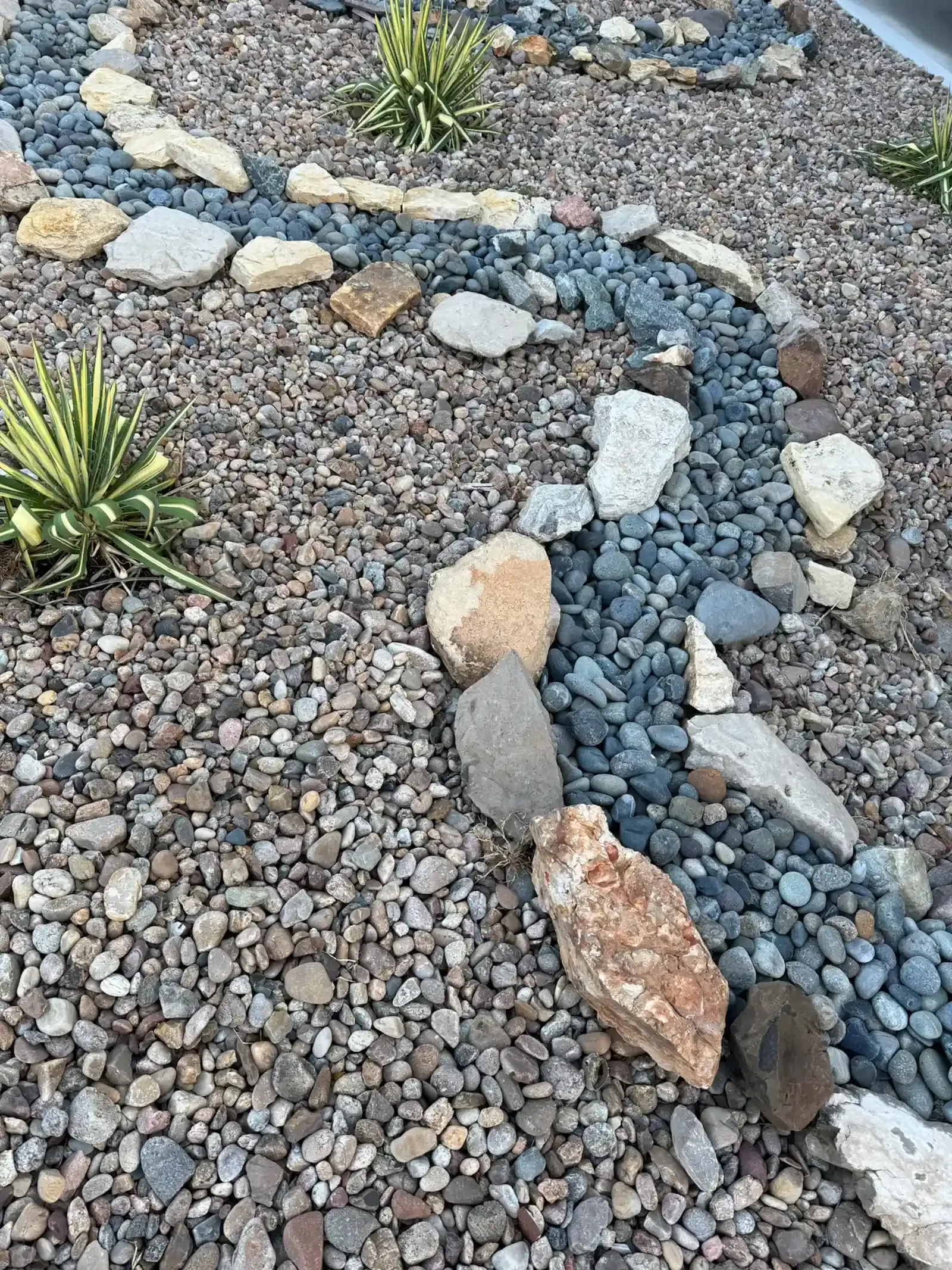 Rock garden with a stream of blue-gray pebbles and large beige stones. Desert plants are visible.