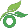 A green circle with two green leaves on it.