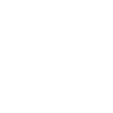 South House Logo