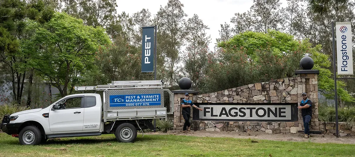 Flagstone Pest Control TC's Pest & Termite Management