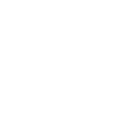 Houston King Houston King