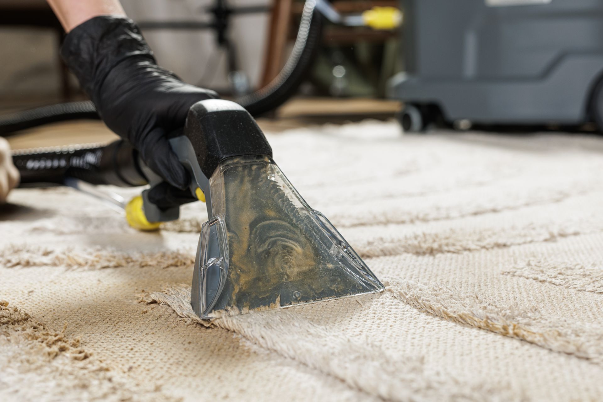 Gloved hand using a carpet-cleaning extractor on a beige rug inside a room
