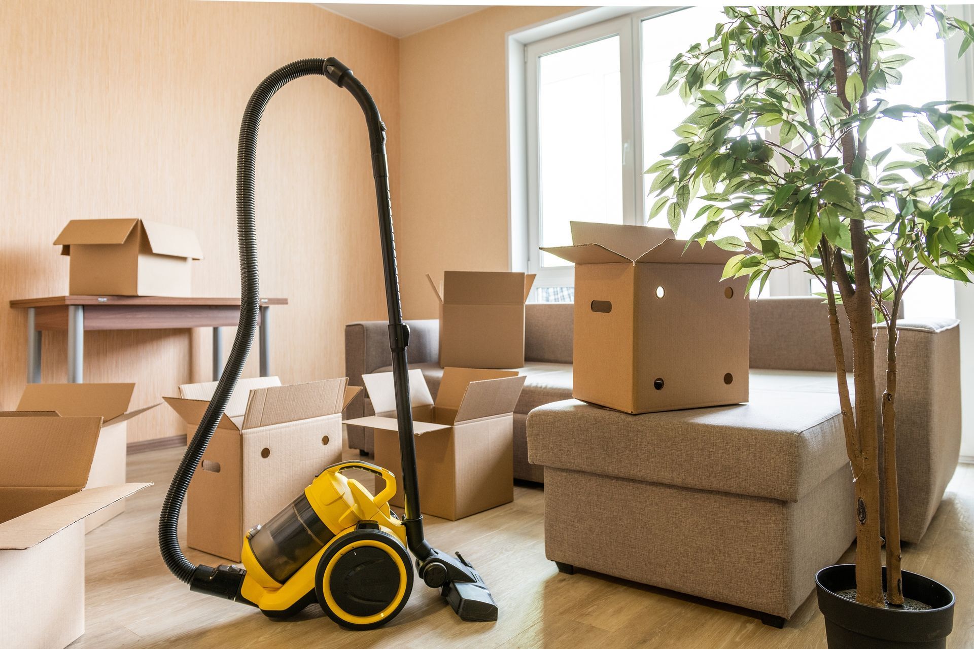 Moving boxes and a yellow vacuum in a sunlit room with a potted tree, suggesting a move or cleanup