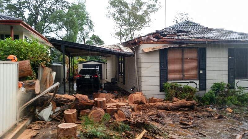 House Damaged by Storm with Fallen Trees — John's Tree Lopping in Belmont, NSW
