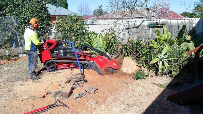 Person Operating Red Stump Grinder — John's Tree Lopping in Belmont, NSW