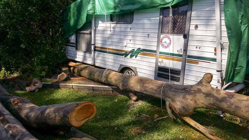 Fallen Tree Trunk Against Camper — John's Tree Lopping in Belmont, NSW