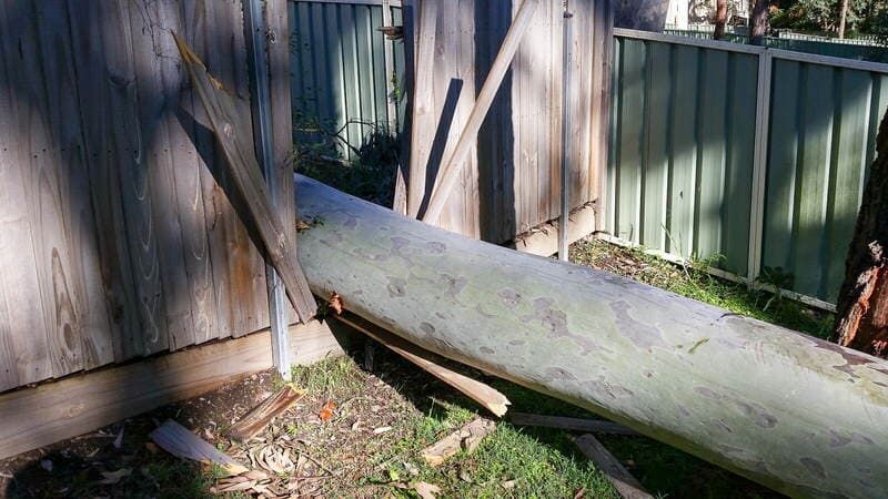 Gray Log Leaning on Wooden Fence — John's Tree Lopping in Belmont, NSW