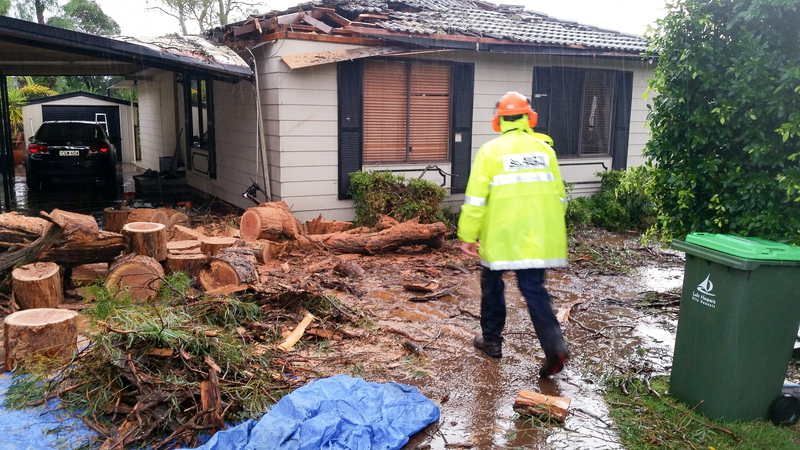 Man in Yellow Raincoat Assessing Storm Damage — John's Tree Lopping in Belmont, NSW