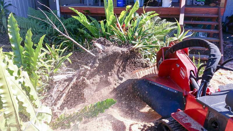 Red Stump Grinder Pulverizing Tree Stump — John's Tree Lopping in Belmont, NSW
