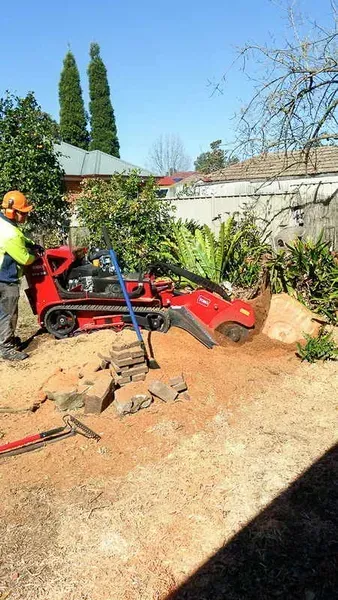 Man Operating Red Stump Grinder — John's Tree Lopping in Belmont, NSW