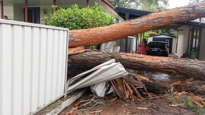 Large Tree Fallen on House — John's Tree Lopping in Belmont, NSW