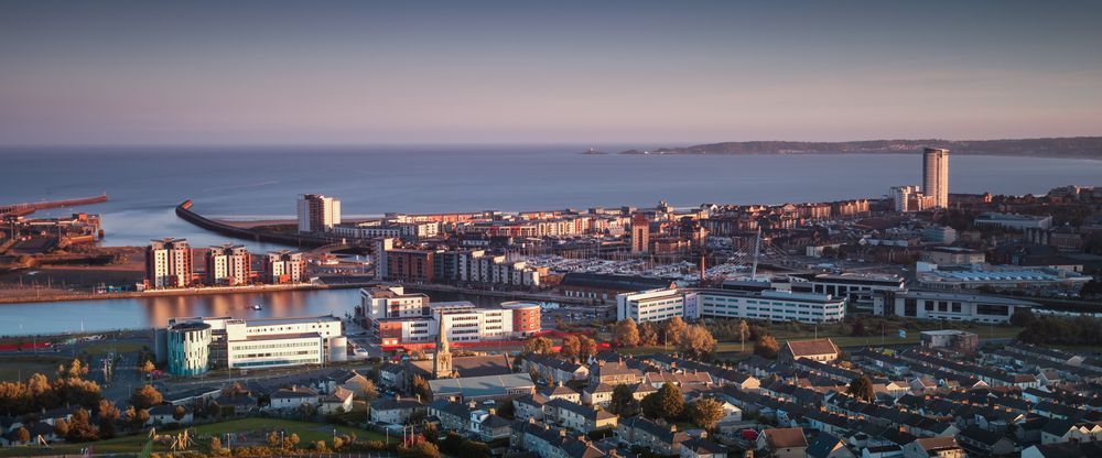 Cityscape with Buildings and Sea — John's Tree Lopping in Swansea, NSW