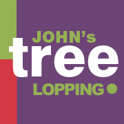 Tree Lopping & Removal Newcastle Tree Lopping & Removal Newcastle