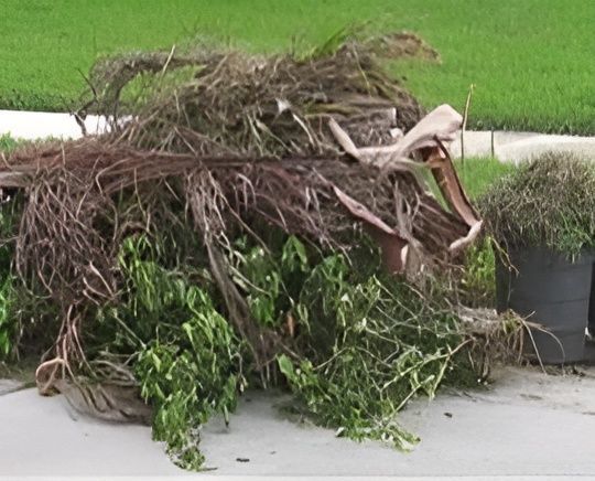 Pile of Palm Fronds and Plant Trimmings — John's Tree Lopping in Belmont, NSW