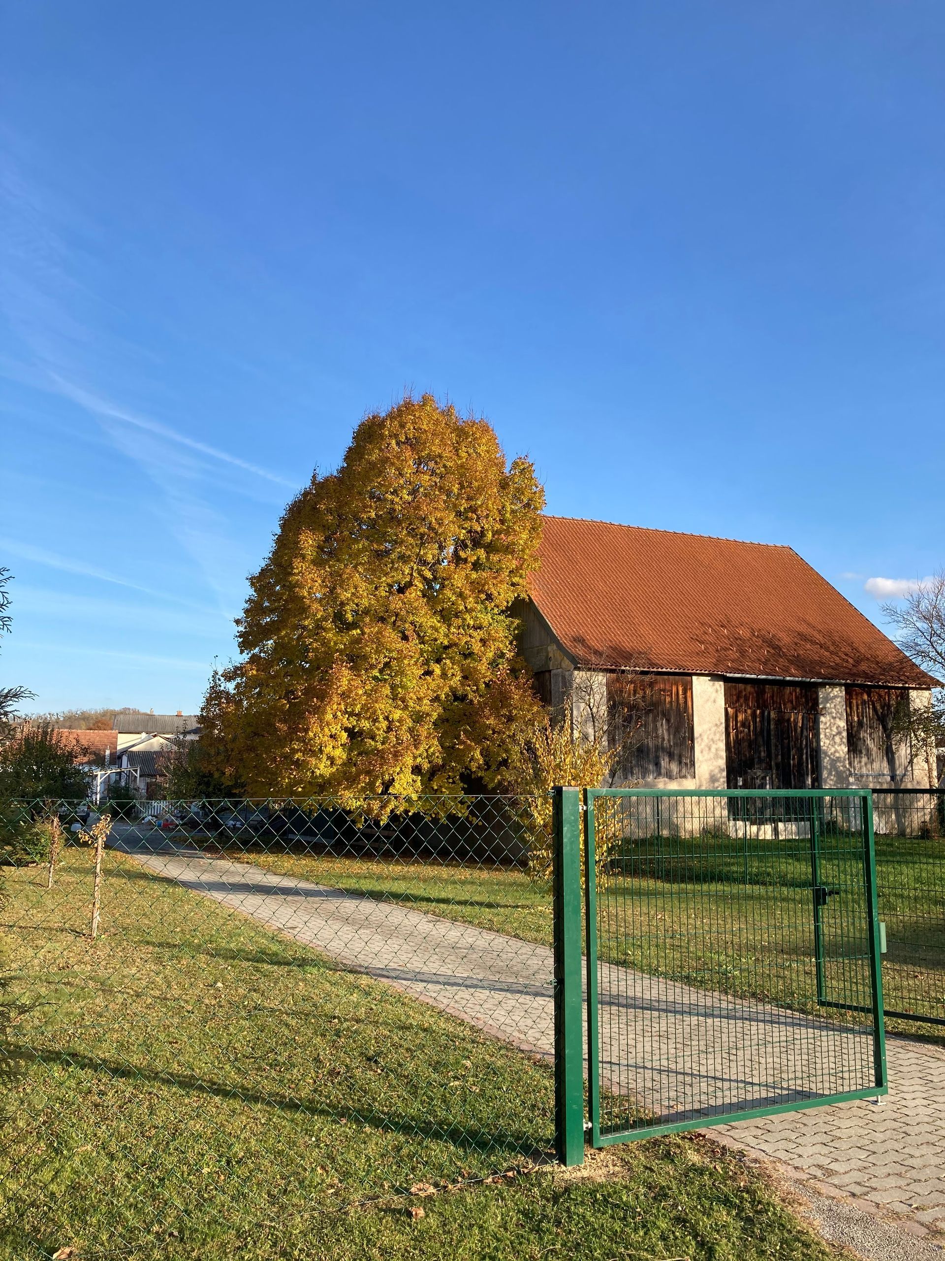 Im Vordergrund ein gelbblättriger Baum neben einem Gebäude mit rotem Ziegeldach und einem grünen Tor.