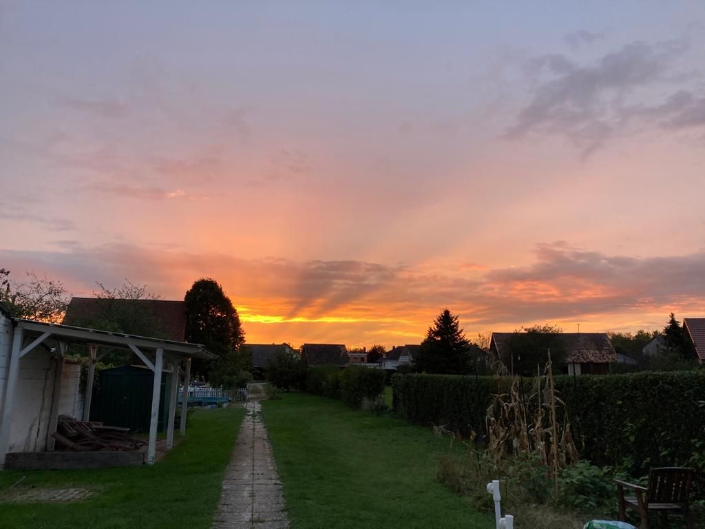 Sonnenuntergang über einem Gemeinschaftsgarten, lange Sonnenstrahlen brechen durch die Wolken.