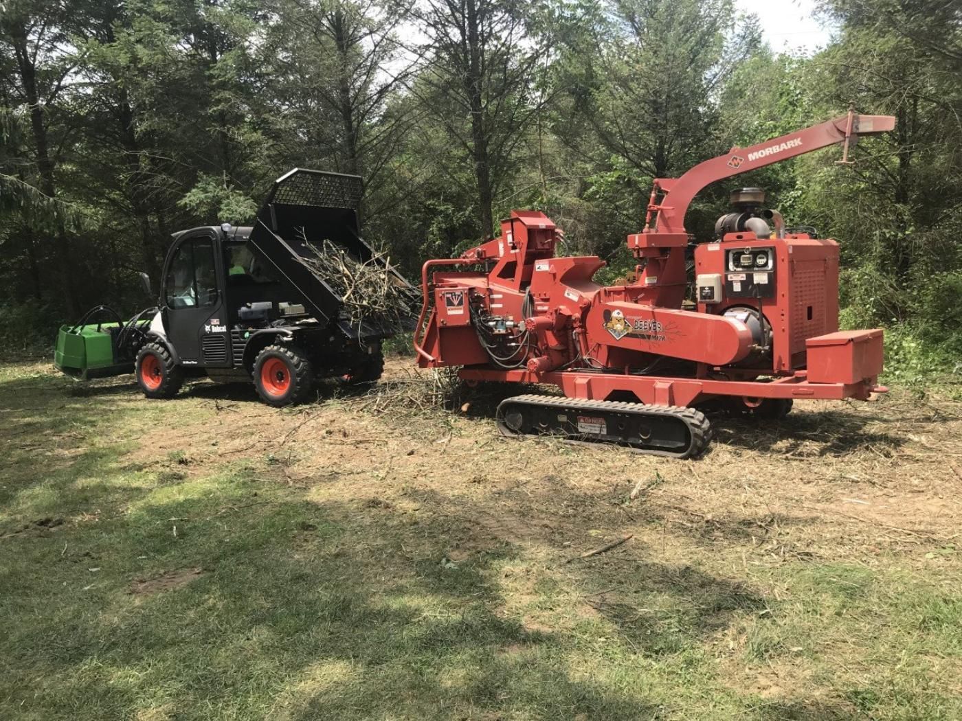 Tree Services | Hummelstown, PA | Martin's Tree Service