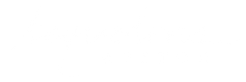 A white background with a few lines on it