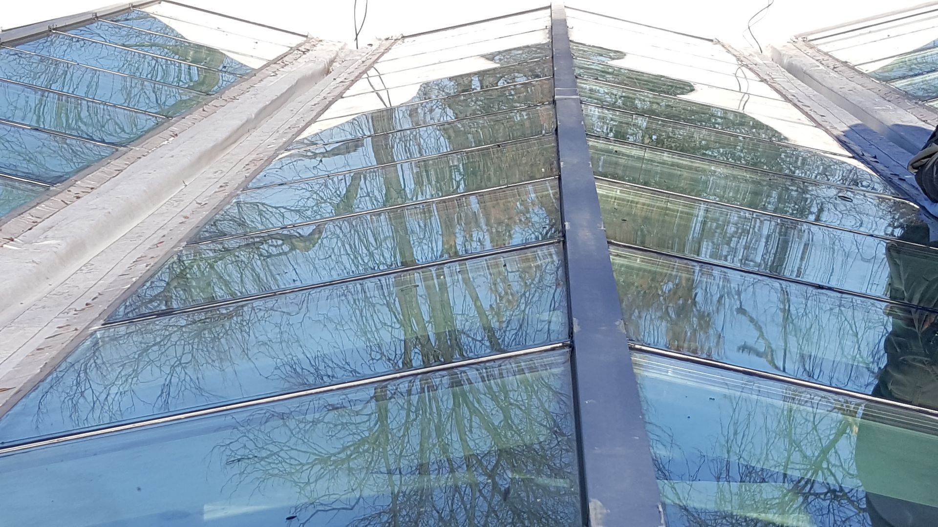 A close up of a glass roof with trees reflected in it.