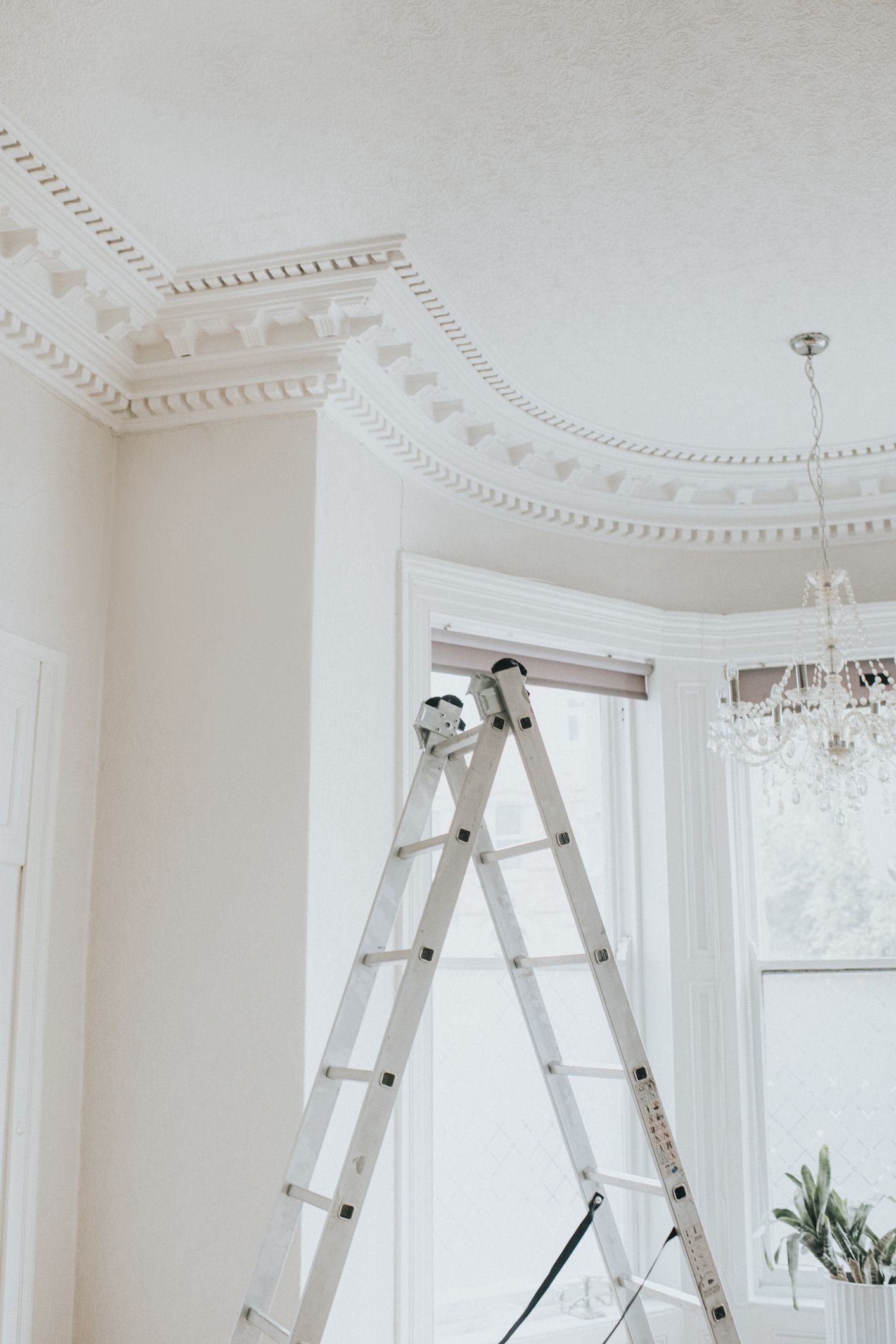 A-frame ladder in a bright room, reaching towards decorative ceiling molding. Sunlight streams through a window.