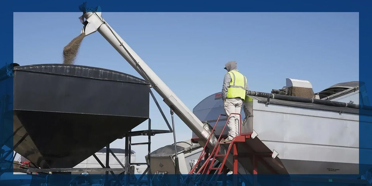 Industrial screw conveyor transferring bulk material into a large hopper for pulverizing and processing.