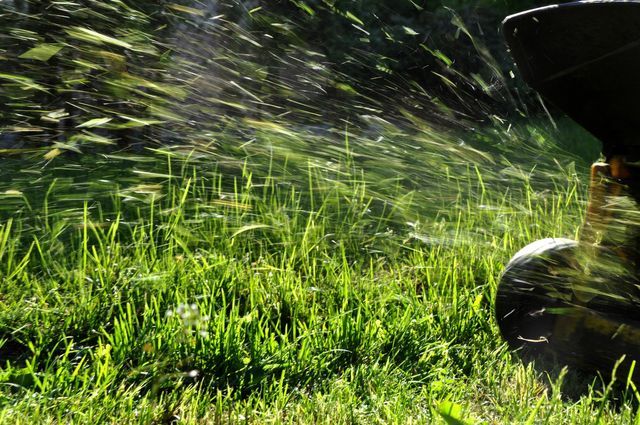 Commercial Lawn Mowing in Ann Arbor, MI | Three Brothers Lawn Care