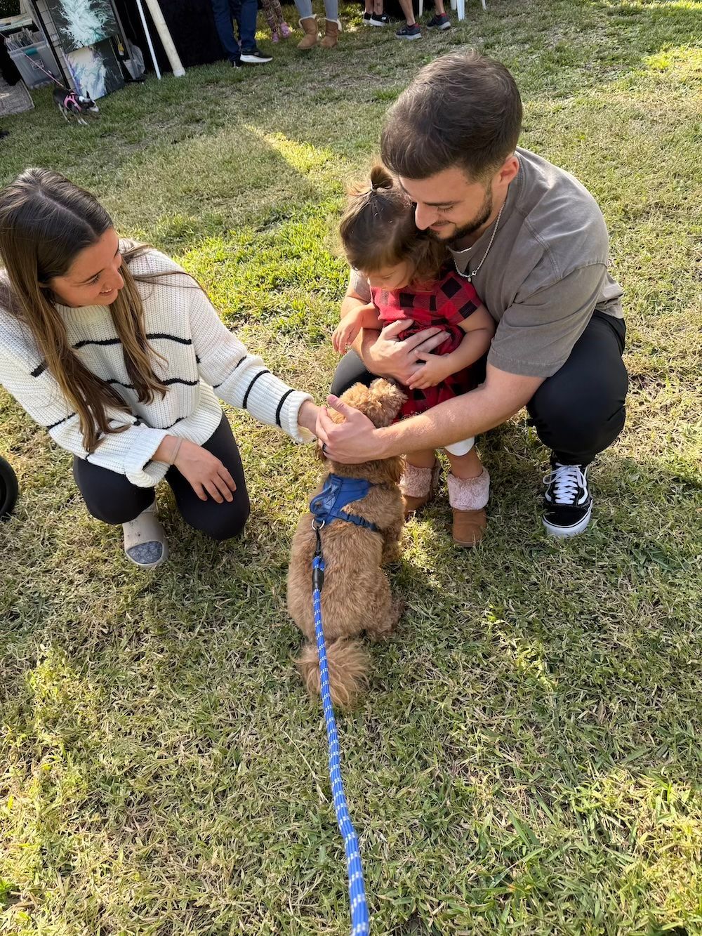 Family interacting with a dog in a grassy area. A woman and man touch the dog, holding a child.