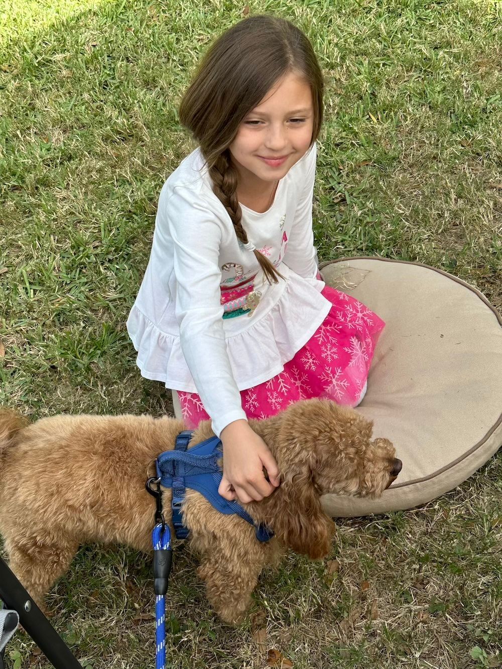 Girl petting a brown dog on a lawn, sitting near a dog bed. Girl is smiling, wearing a white shirt and pink skirt.