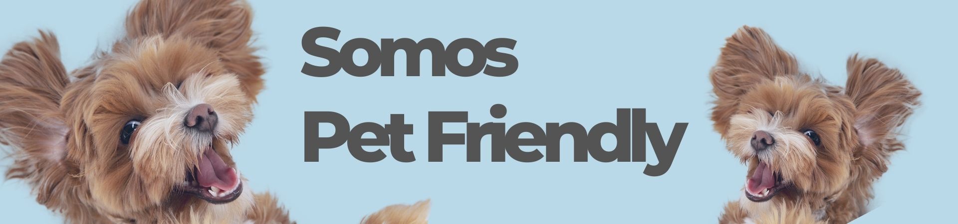 Dois cachorrinhos ao lado da frase “Somos Pet Friendly” em um fundo azul claro.