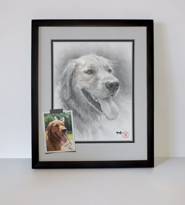 dog portrait sample