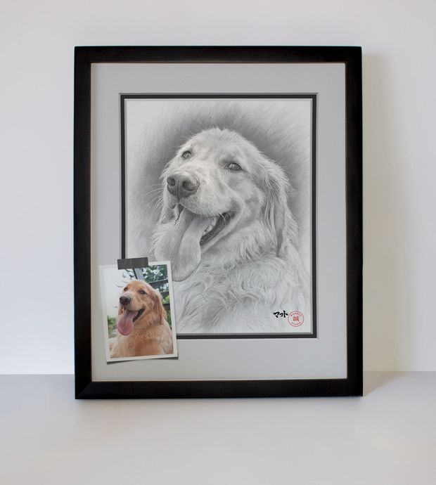 Dog portrait sample