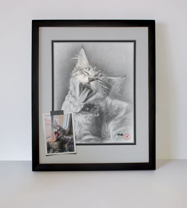 cat portrait sample