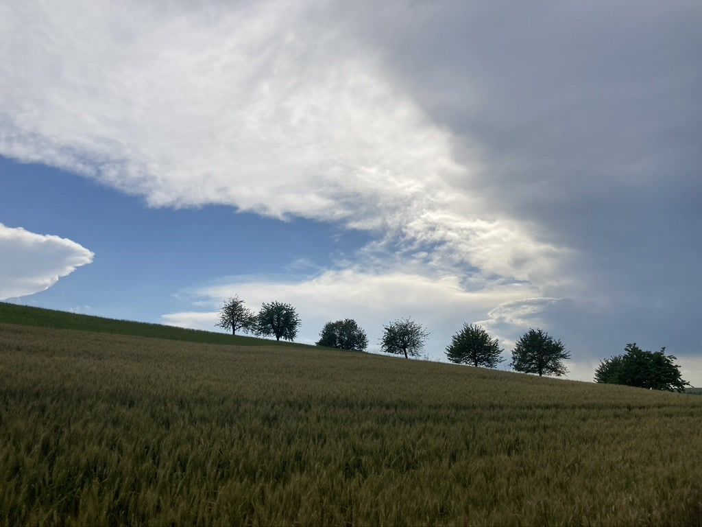 Naturaufnahme mit Wolken und Bäumen – Symbol für Erinnerung und Trauerbegleitung Schweiz