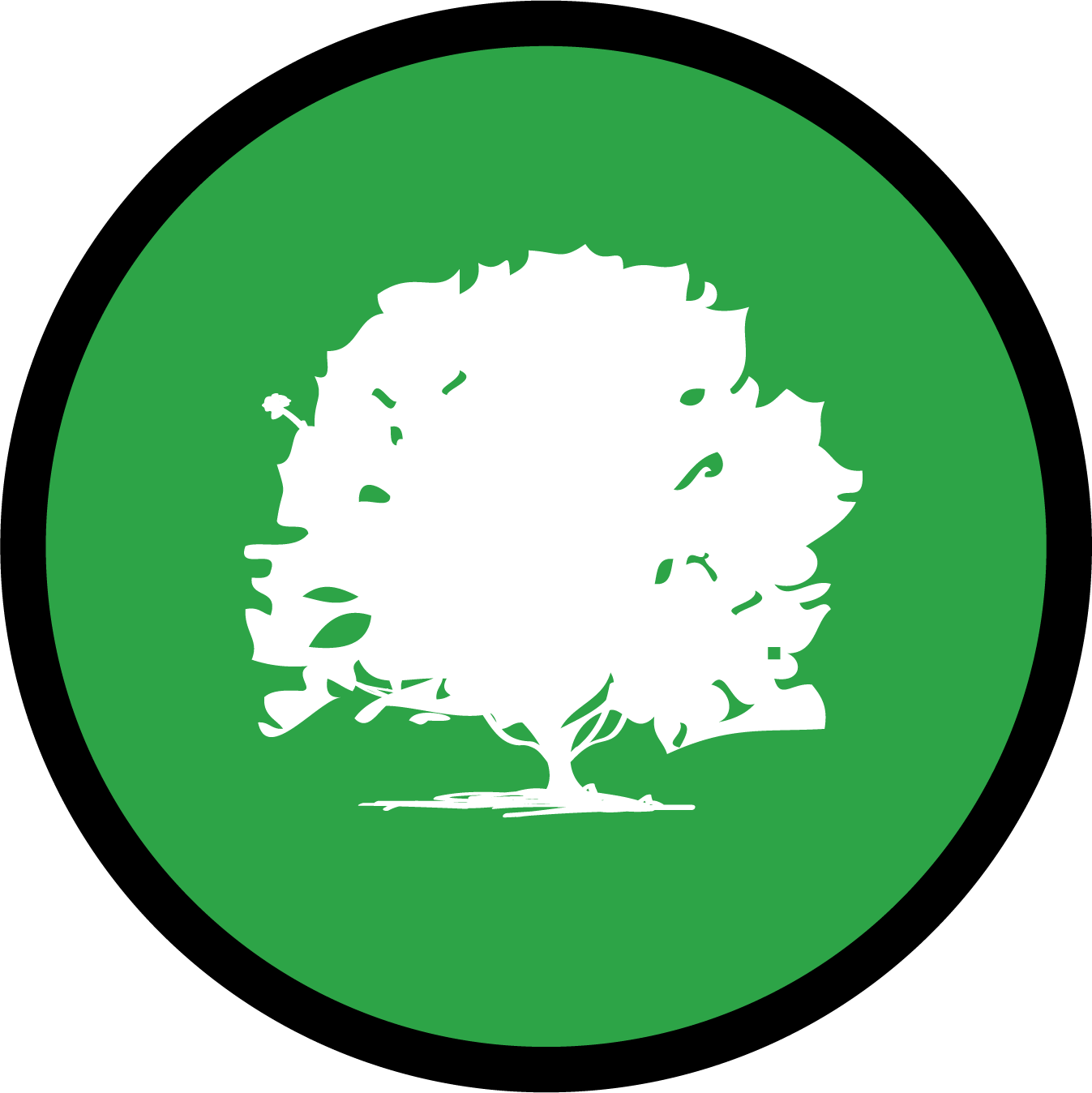 tree icon