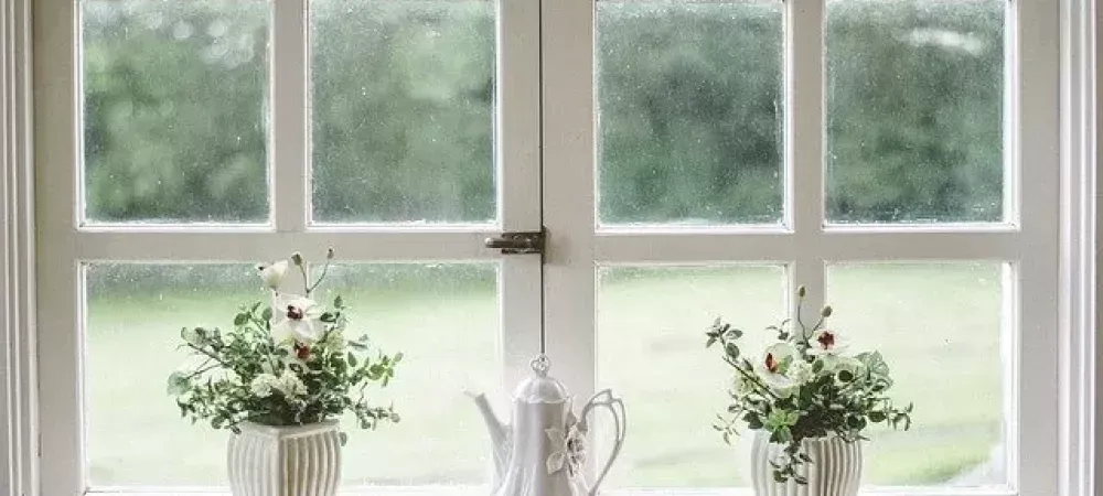 wooden paned window with two potted plants and tea kettle with trees outside of the window