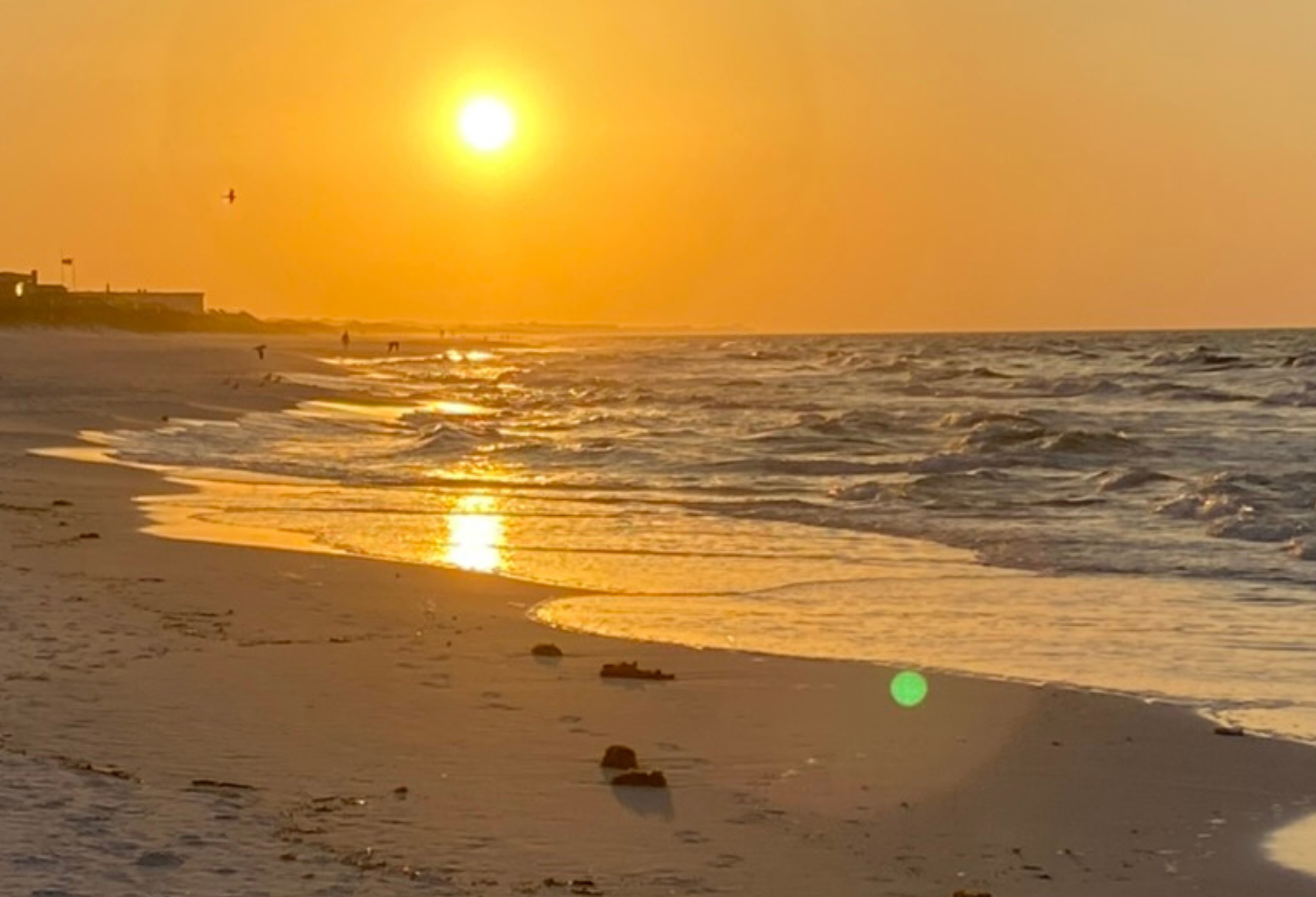 Beach Sunrise